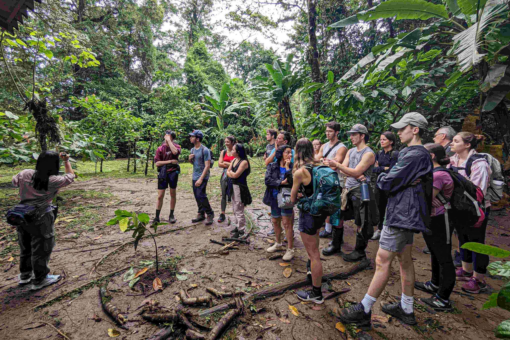groupe d'étudiants dans la forêt écoutant une guide