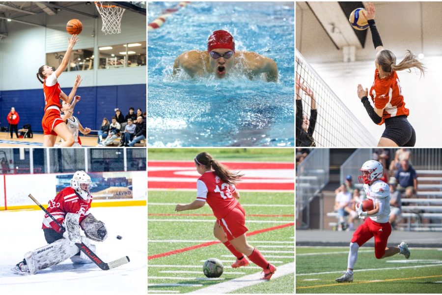 Nous vous donnons 7 conseils pour concilier avec succès le sport et les études.