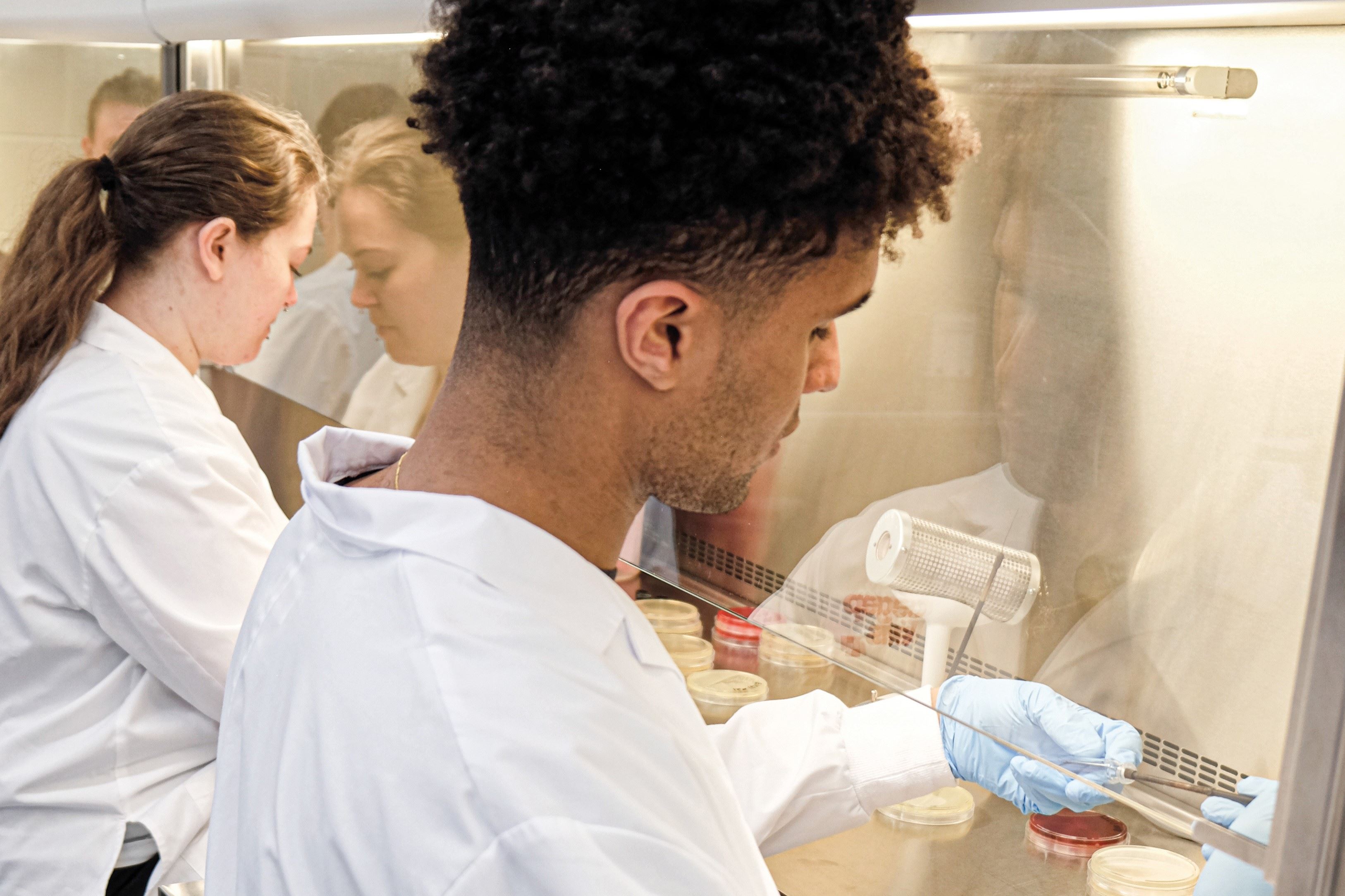 biotechnologie-microbiologie