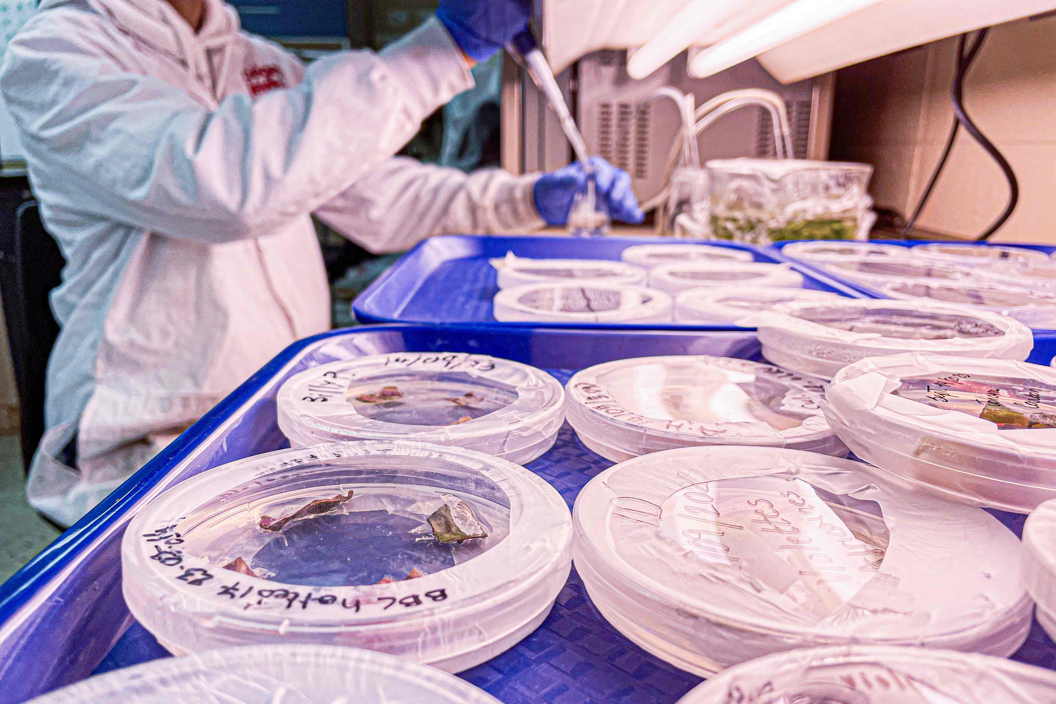 biotechnologies-labo-étudiants-4