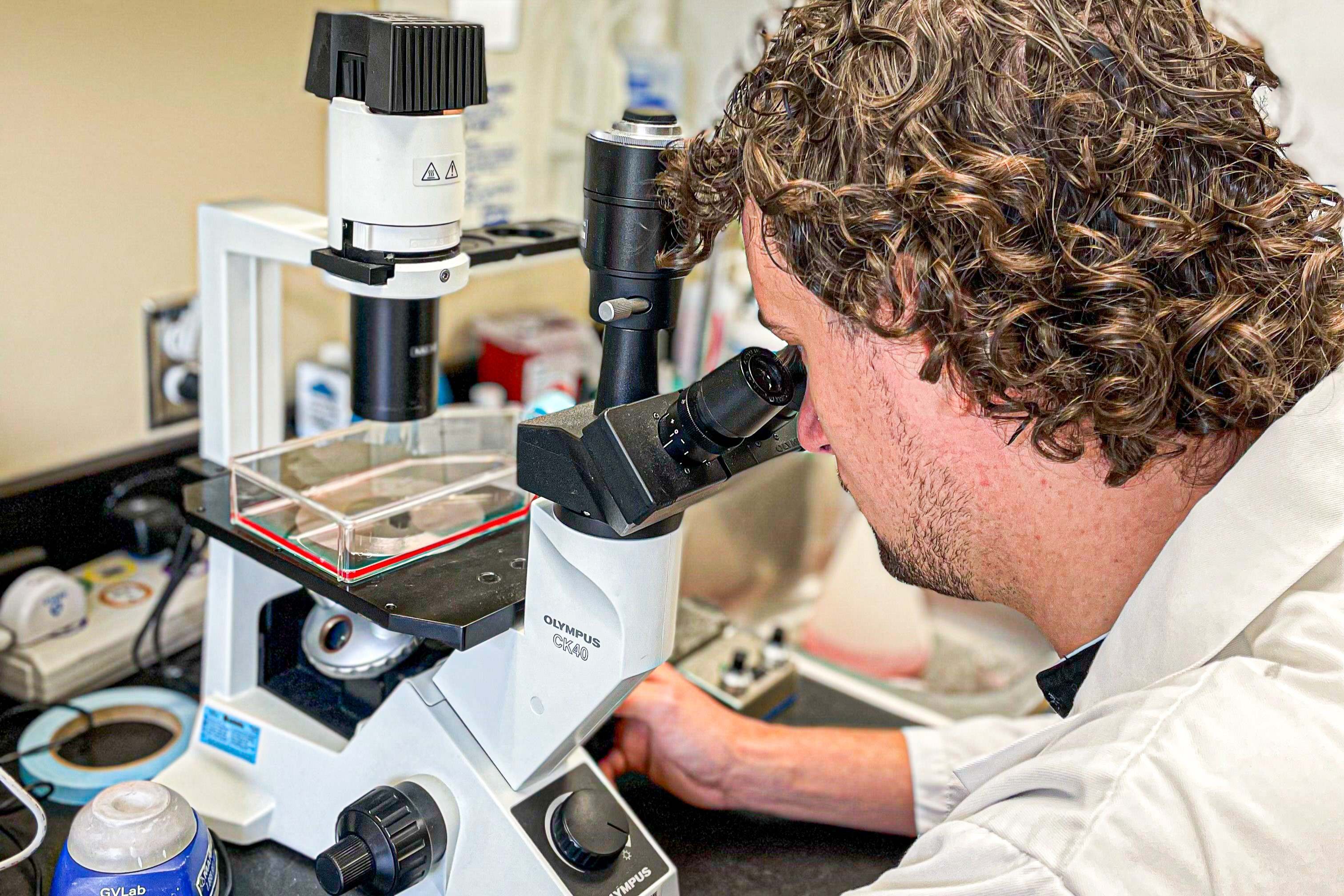 biotechnologies-télescope