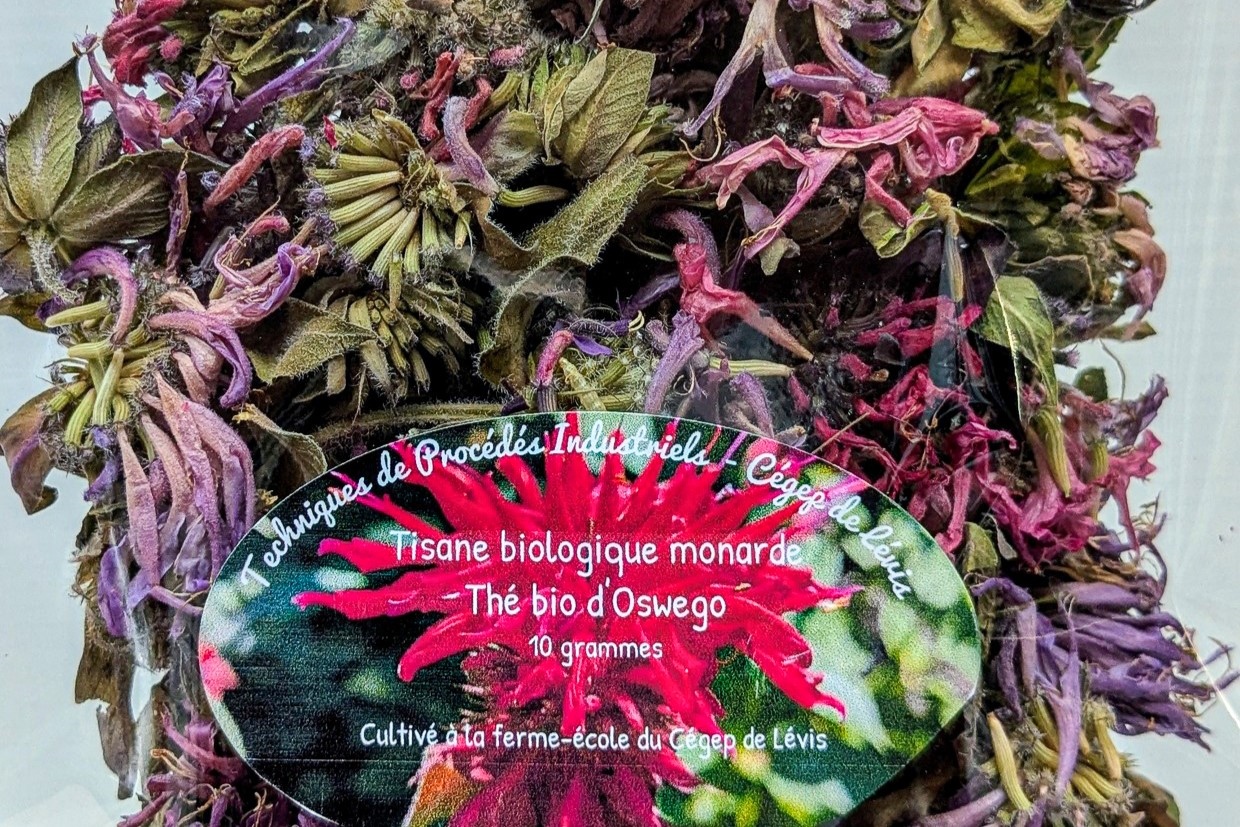 tisane-procédés-industriels